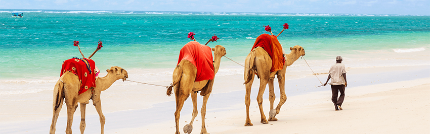 3-days-lamu-beach-holidays