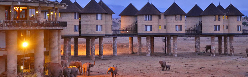 7-days-tsavo-west-amboseli-tree-hotel-l-nakuru-maasai-mara