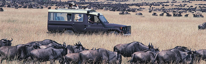 kenya-tanzania-safari